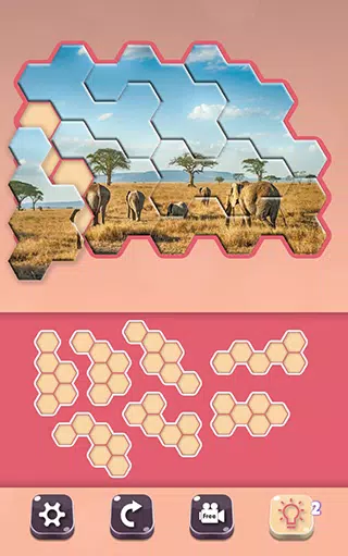 Animals Jigsaw! - Hexa puzzle應用截圖