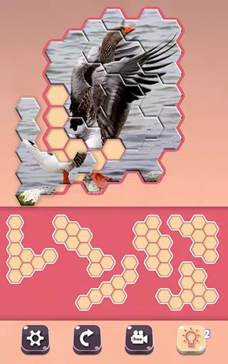 Animals Jigsaw! - Hexa puzzle應用截圖