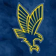 Eagle's Landing Athletics