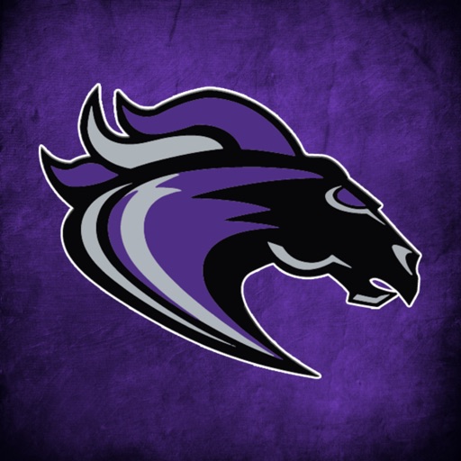 Ridge View Blazers Athletics Ridge View Blazers Athletics