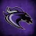 Ridge View Blazers Athletics
