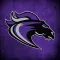 Ridge View Blazers Athletics