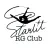 Starlit Gymnastic