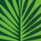 Arbolapp Canarias