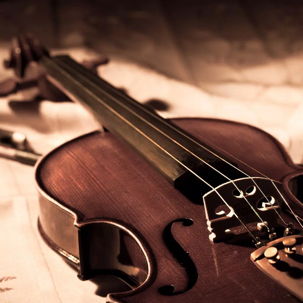 Violin Lessons - Learn How To Play Violin Violin Lessons - Learn How To Play Violin