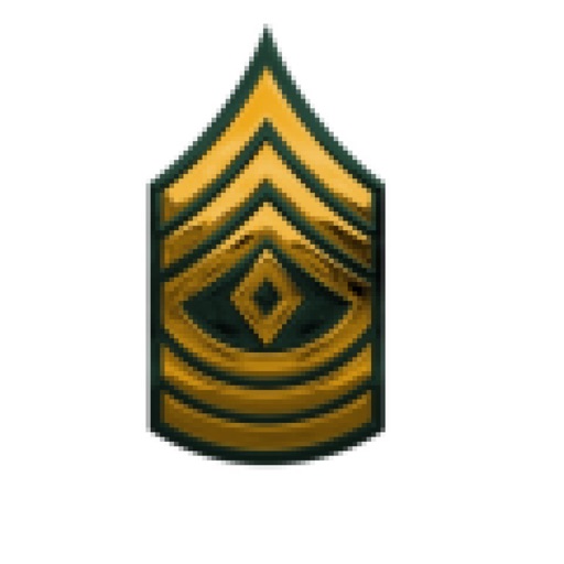 Army study guide ArmyADP.com Army study guide ArmyADP.com