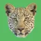 Travel Africa @ Roho Ya Chui