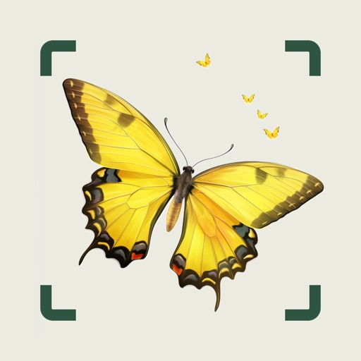 AI Insect Identifier: BugBug AI Insect Identifier: BugBug