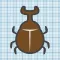 BugFine - Catch and Record