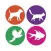 Jo Pet Zone