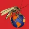 mosquito vs everybody