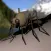 mosQUITo - quit mosquitos