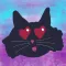 Cats Cute and Weird