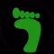 Carbon Footprint Log