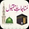 Munajaat-e-Maqbool (مناجات مقبول)