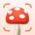 Mushroom Identifier: Fungi ID.