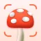 Mushroom Identifier: Fungi ID.