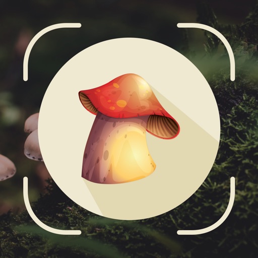 Mushroom ID : Identifier, Scan Mushroom ID : Identifier, Scan