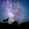 Universe ユニバース