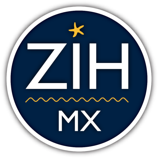 zih.mx zih.mx