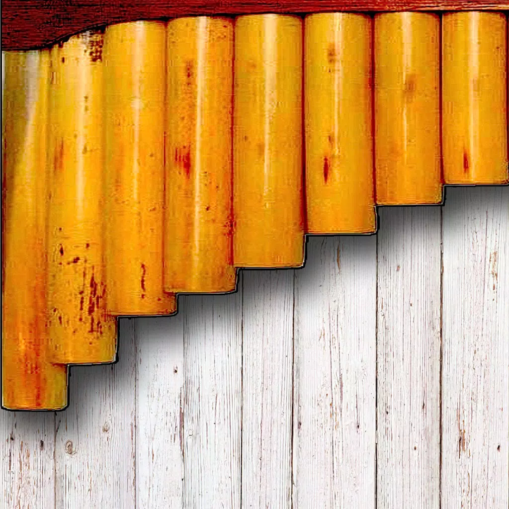 My Pan Flute My Pan Flute