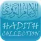 Imam Nawawi Hadith Collection