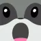 Raccoon Emojis