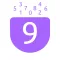 Pocket Numerology