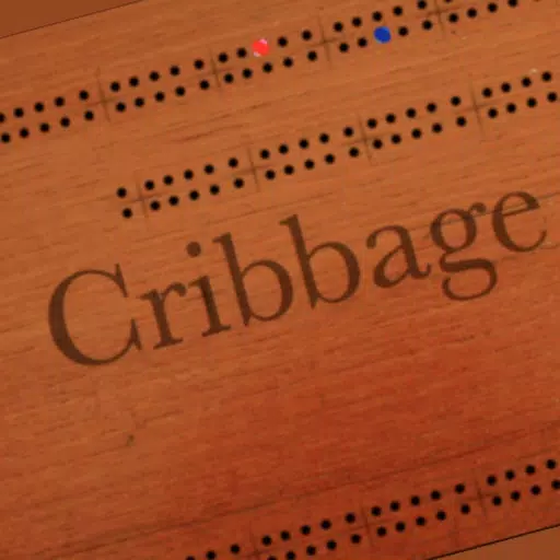 Cribbage Board Cribbage Board