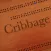 Cribbage Board