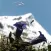 The colorful world of alpine flowers