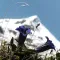 The colorful world of alpine flowers