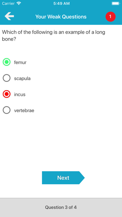 Skeletal System Quizzes Screenshots