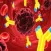 Human Immune System Quiz