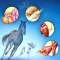 Veterinary Terminology Quiz