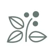 Beanlinked