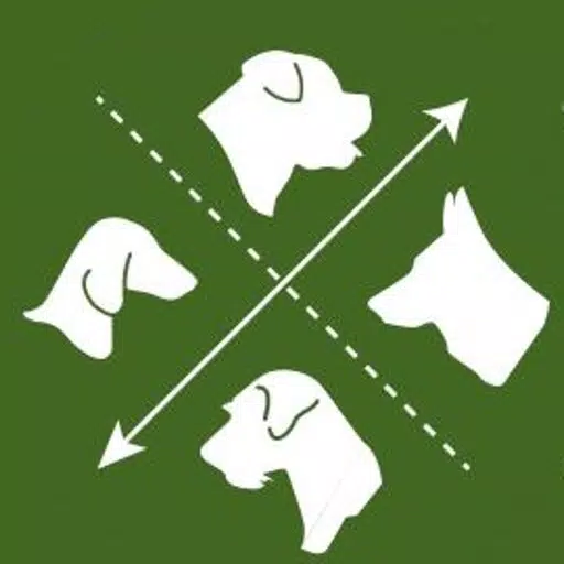 Canine Soulutions Canine Soulutions