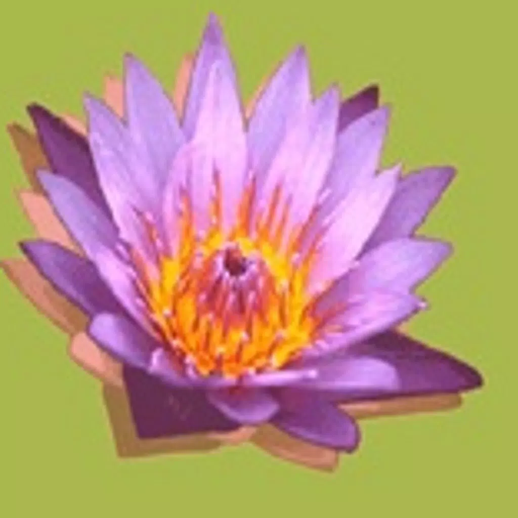 BOOTSABONG trad. Thaimassage BOOTSABONG trad. Thaimassage