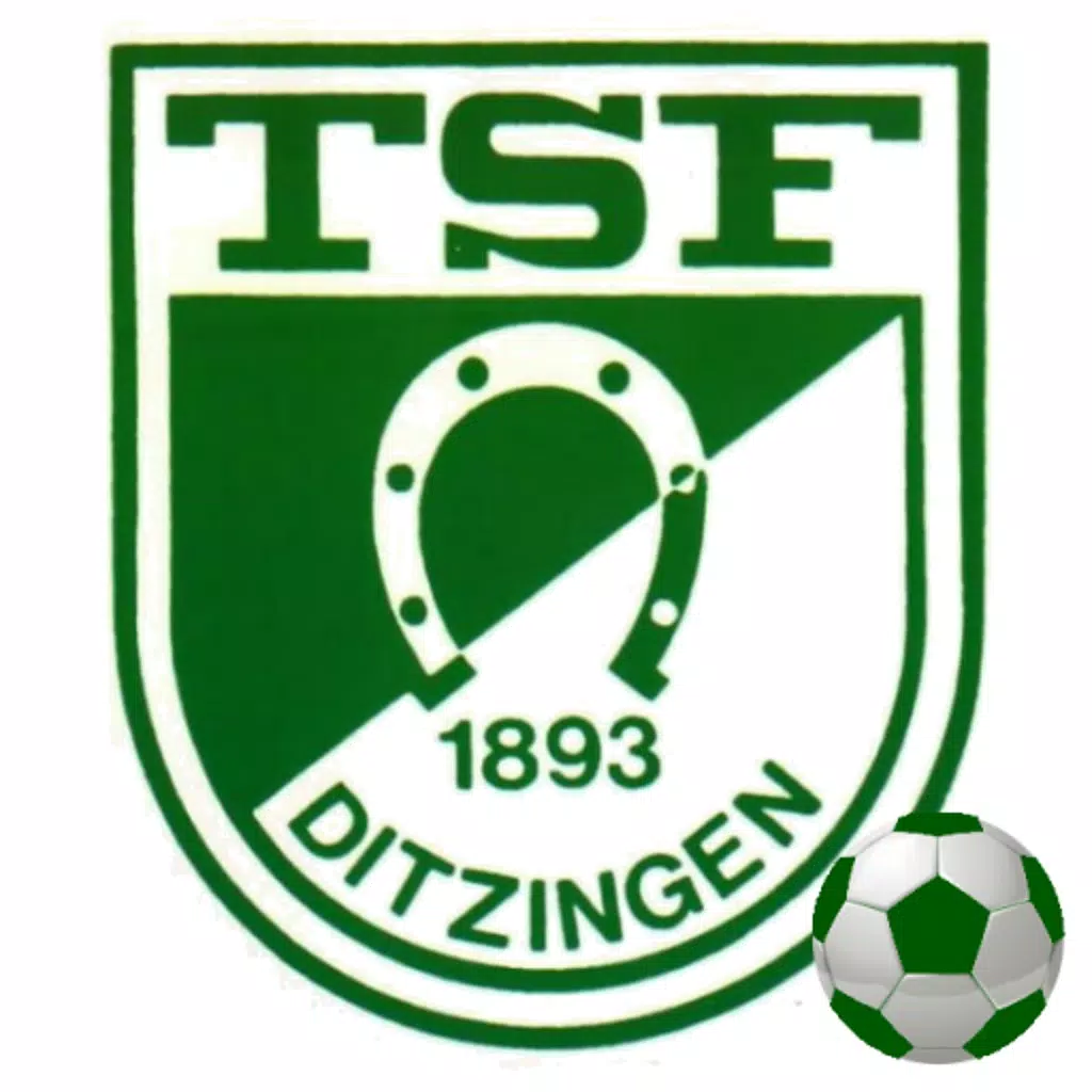 TSF Ditzingen - Fußball TSF Ditzingen - Fußball