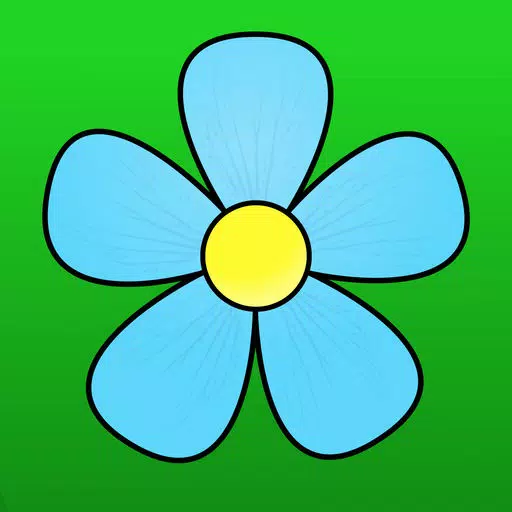 Spring Flower Spring Flower