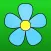 Spring Flower