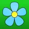 Spring Flower