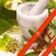 My Essential Oil Remedies Lite