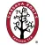 Cassava Roots