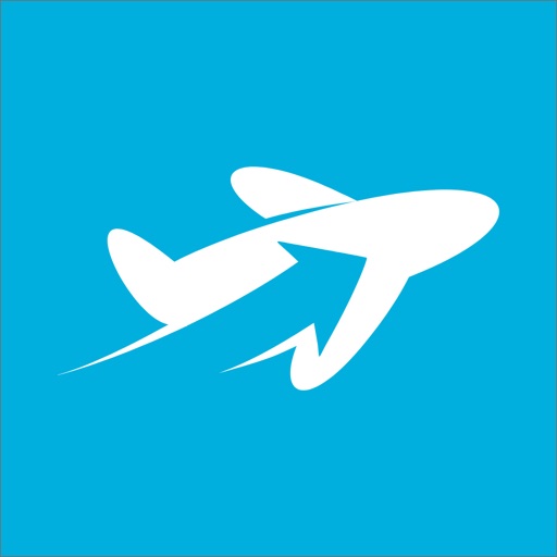 Cheap Plane Tickets Cheap Plane Tickets