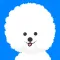 미세멍 - 실시간 미세먼지 날씨 비숑