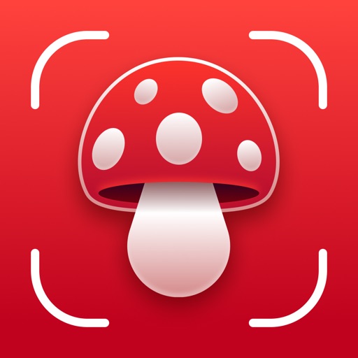 Mushroom Identifier: Fungi