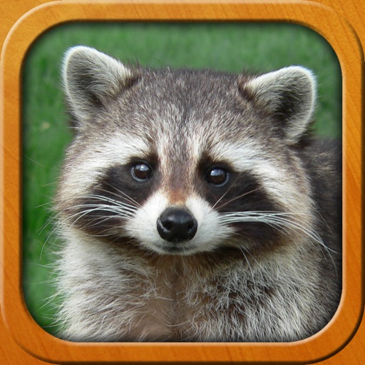 Animals for Kids, full game Animals for Kids, full game