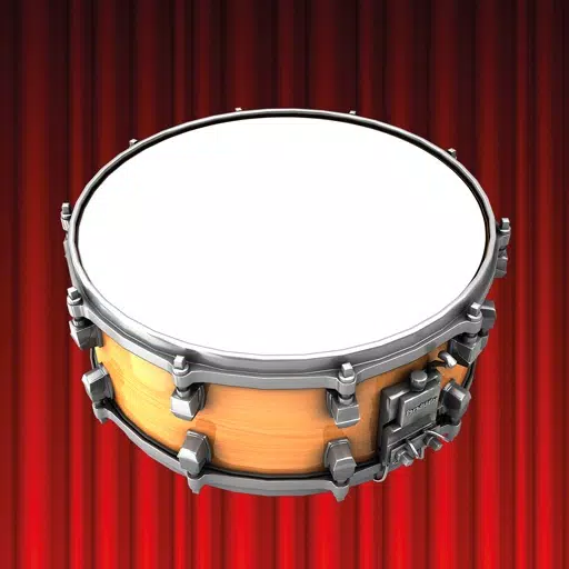 Paradiddler Paradiddler