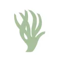 Projecte Posidonia